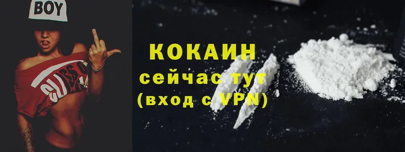 Cocaine VHQ  купить  цена  Новодвинск 