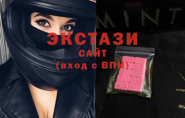 ECSTASY Богородицк